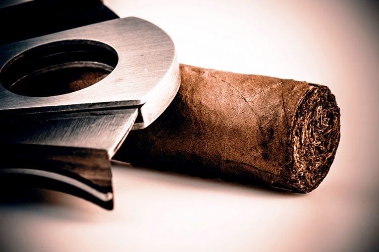 Best Cigar Cutter Reviews 751x500