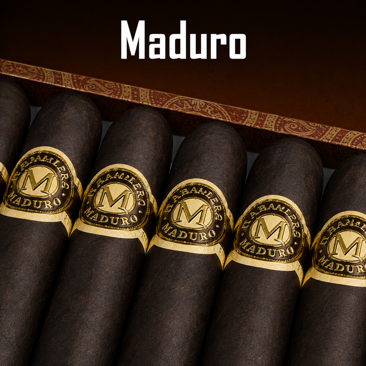 Macanudo Maduro Cigars