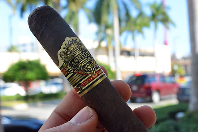 ashton vsg robusto review