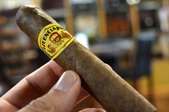 licenciados cameroon robusto