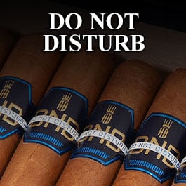 Alec Bradley Do Not Disturb