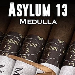 Asylum 13 Medulla