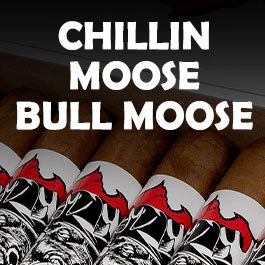 Chillin Moose Bull Moose