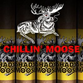 Chillin Moose Shady Moose Connecticut