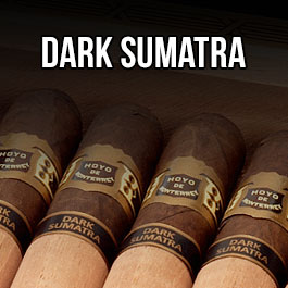 Hoyo de Monterrey Dark Sumatra