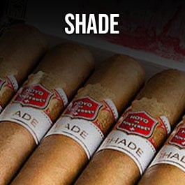 Hoyo de Monterrey Shade