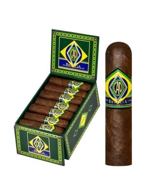 CAO Brazilia Corcovado