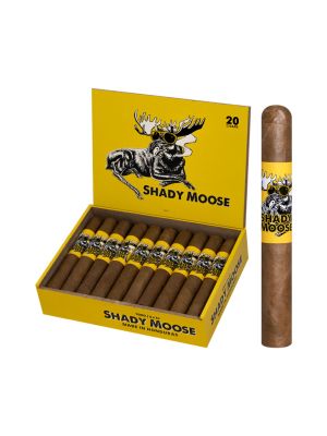Chillin Moose Shady Moose Connecticut Toro