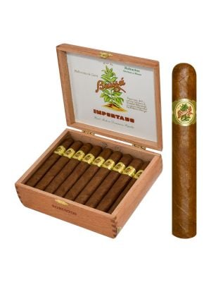 Bauza Robusto