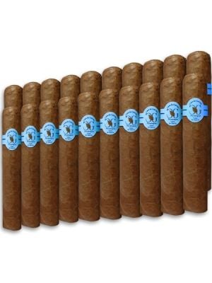 Casa De Garcia Nicaragua Colossal
