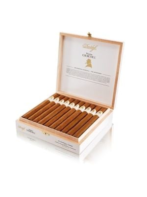 Winston Churchill Aristocrat Churchill