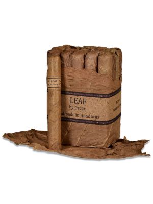 Leaf by Oscar Toro Connecticut