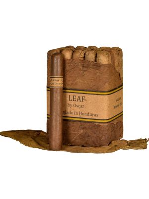 Leaf by Oscar Toro Sumatra