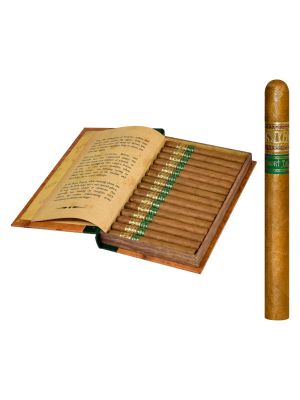 Saga Short Tales Tomo V – Lancero