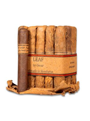 Leaf by Oscar Gordo Corojo