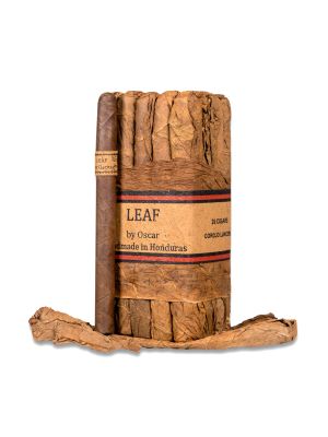 Leaf by Oscar Lancero Corojo