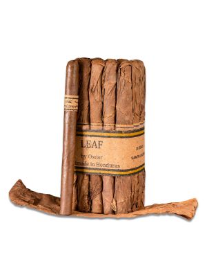 Leaf by Oscar Lancero Sumatra