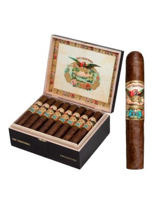 San Cristobal Papagayo XXL