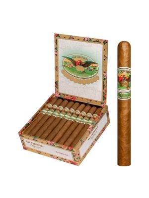 San Cristobal Elegancia Churchill
