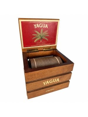 Yagua Robusto