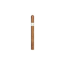 Davidoff Signature Ambassadrice Pack Natural cigar