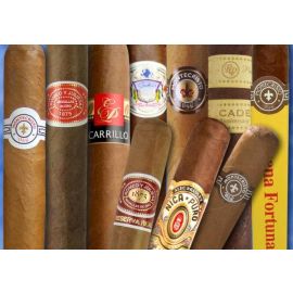 First Class Cigar Sampler each