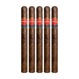 Punch After Dinner Maduro pack of 5