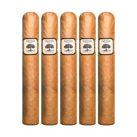 Charter Oak Connecticut Shade Grande Natural pack of 5