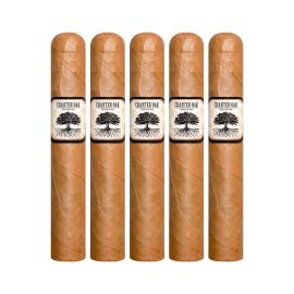 Charter Oak Connecticut Shade Rothschild Natural pack of 5