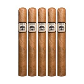 Charter Oak Connecticut Shade Toro Natural pack of 5
