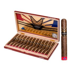 Volition America by Gurkha Maduro Toro Maduro box of 13