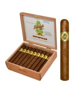 Bauza Robusto