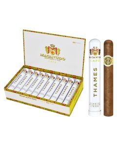 Macanudo Thames