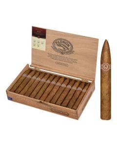 Padron 6000 (torpedo)