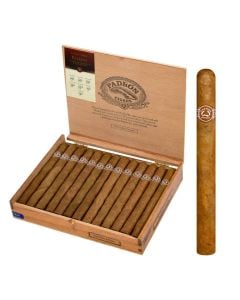 Padron Palmas