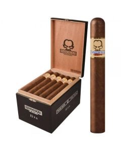 Asylum Insidious Maduro 52x6