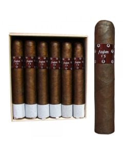 Asylum 13 Seventy 70x6