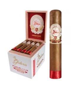 La Galera Connecticut Pilone - Short Gordo