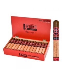 Hoyo La Amistad Dark Sumatra by AJ Fernandez Media Noche