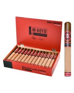 Hoyo La Amistad Dark Sumatra by AJ Fernandez Noche