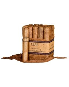 Leaf by Oscar Robusto Connecticut