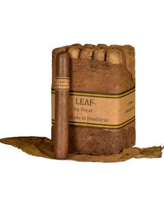 Leaf by Oscar Toro Sumatra