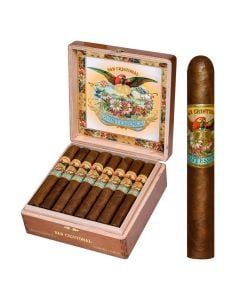 San Cristobal Quintessence Corona Gorda