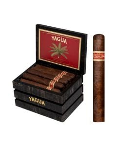 Yagua Toro