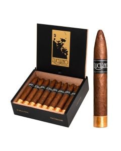 Luciano The Dreamer Belicoso