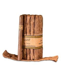 Leaf by Oscar Lancero Sumatra