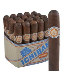 Room 101 Ichiban Maduro Toro