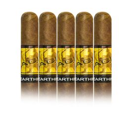 Acid Earthiness Natural pack of 5