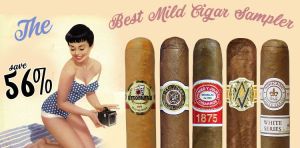 Best Mild Cigar Sampler