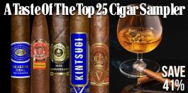 A Taste Of The Top 25 Cigar Sampler 20 cigars
